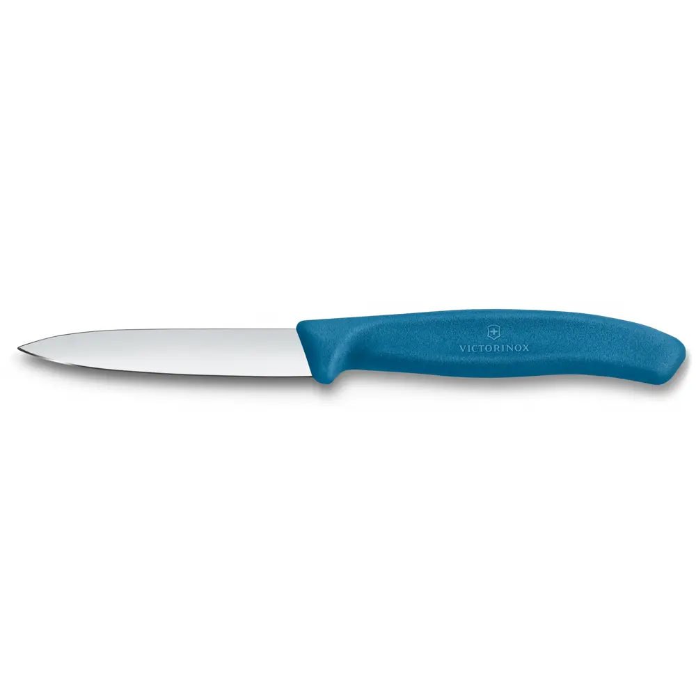 Groentenmes classic 8cm blauw